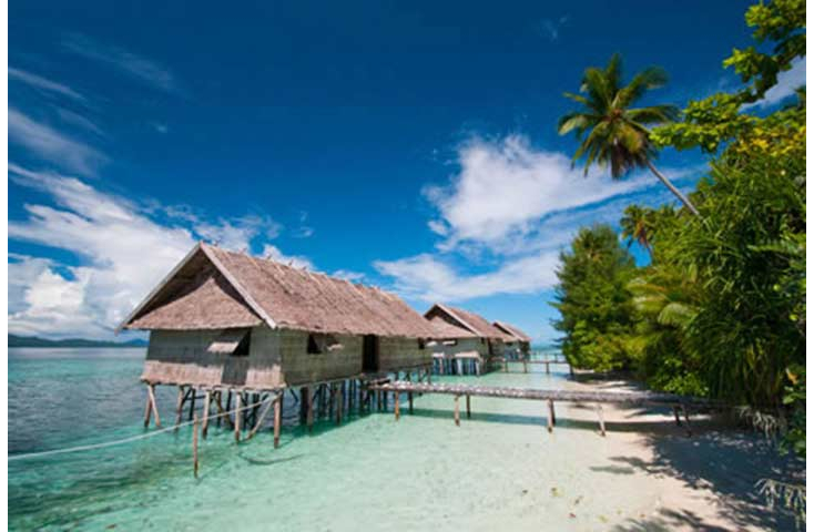 Kri Eco Dykkerresort Indonesien