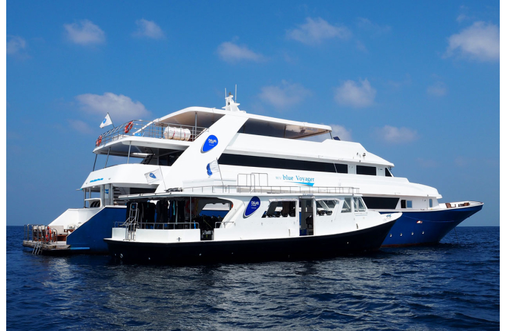 Blue Voyager Liveaboard - Maldiverne