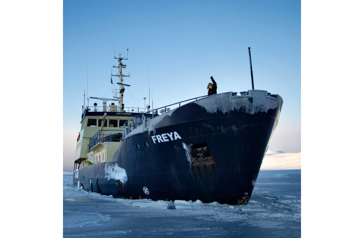 Freya Liveaboard