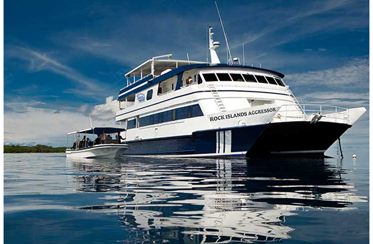 Fed liveaboard på Palau