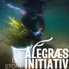 Tænketanken Hav - Udstyr til Ålegræsprojekt 2025