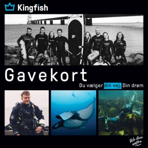 Gavekort til alt (valgfrit beløb)