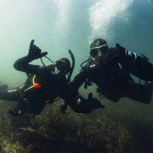 Genopfriskningskursus