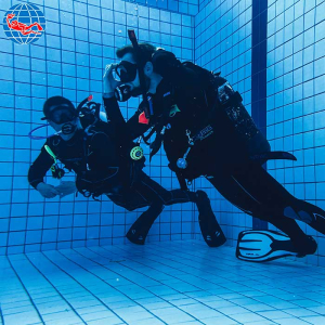 PADI Open Water Diver Kursus - Referral 