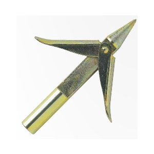 Salvimar Lazio spydspids